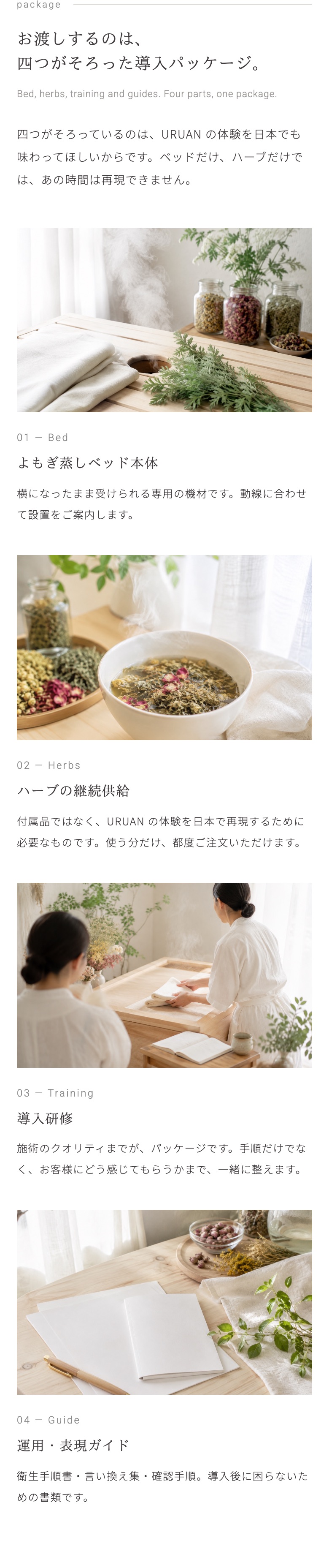 導入パッケージの画面